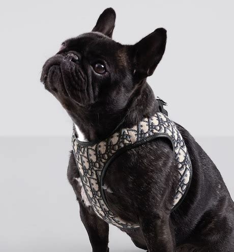 dior oblique pet|dior dog harness black.